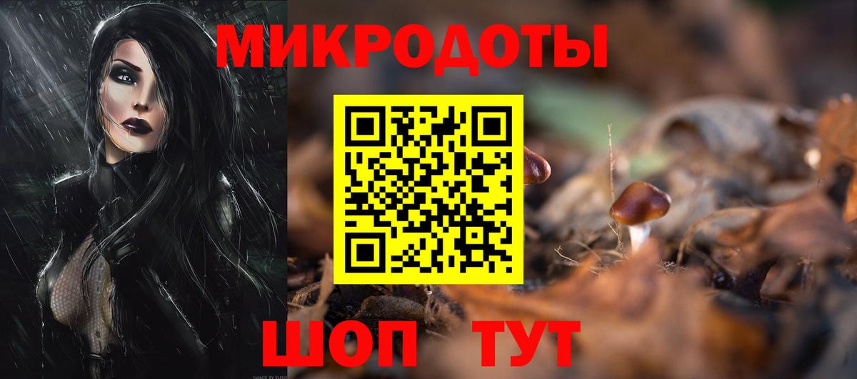 Галлюциногенные грибы Psilocybe Тосно